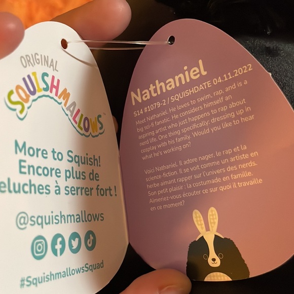 NWT Squishmallow Nathaniel Easter bunny dog Easter plush soft collectible cute - Picture 11 of 11